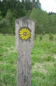 bild1.jpg