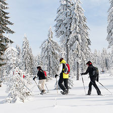 Schneeschuh-Touren