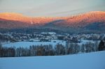 Bild vergrößern