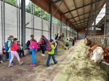 Zellertaler Ferienprogramm auf dem Bauernhof